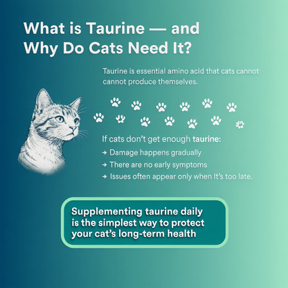 Feline Nutrition Taurine Supplement - Taste-Free